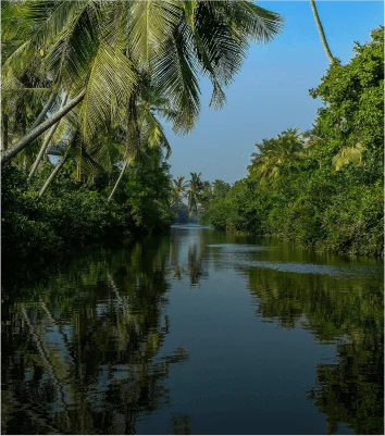 Muthurajawela Marsh