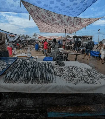 Fish Market